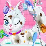 Baby Animals Pet Vet Care