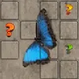Butterfly Memory Match