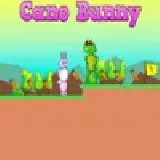 Cano Bunny