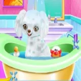 My New Poodle Friend - Pet Care Game